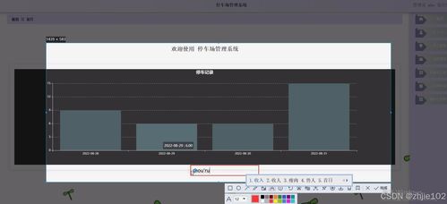 基于Django与Vue的停车场管理系统 计算机毕业设计代理代办服务